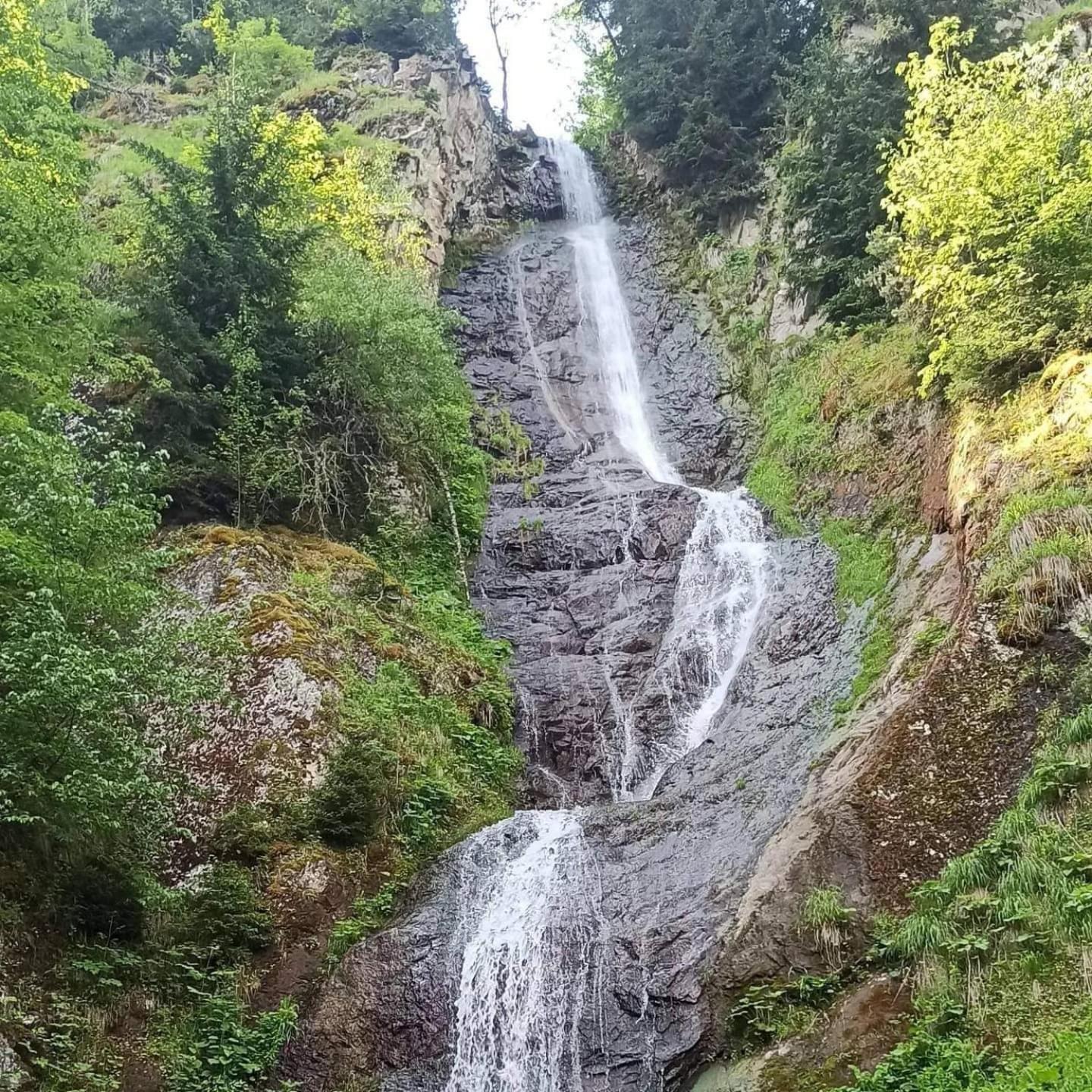 Paata'S Guesthouse Borjomi Εξωτερικό φωτογραφία